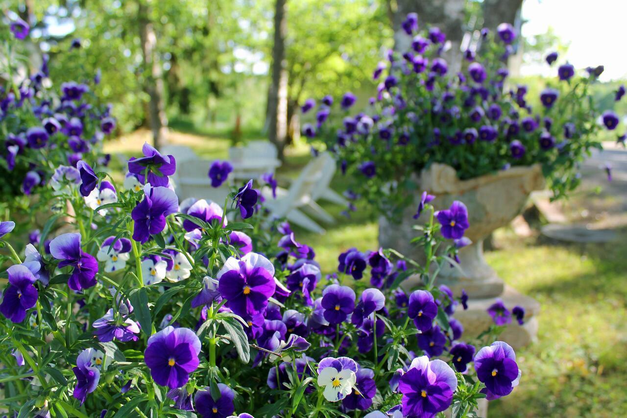 Eraejaerven Eerola Guesthouse Erajarvi Kültér fotó